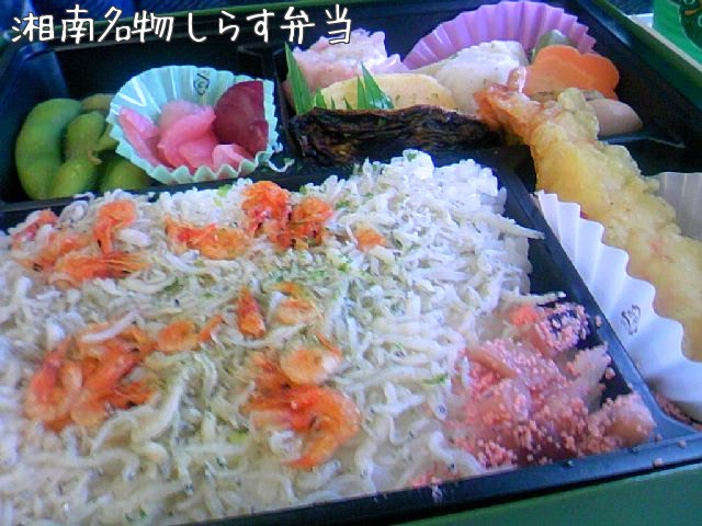 しらす弁当