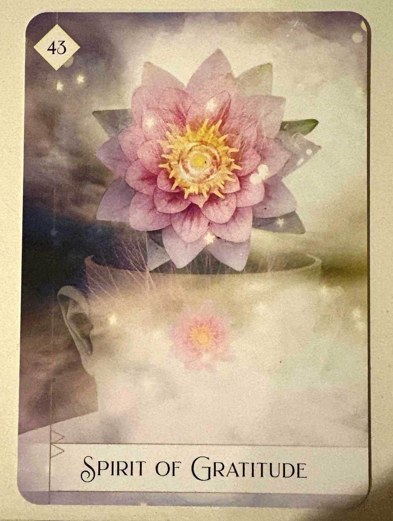 SpiritOfGratitude